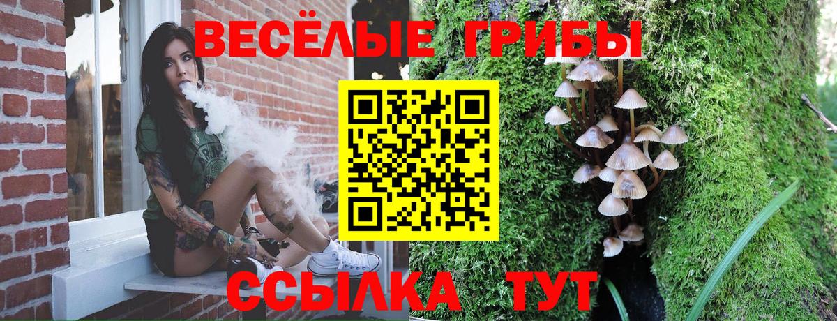 Псилоцибиновые грибы GOLDEN TEACHER Верхний Уфалей