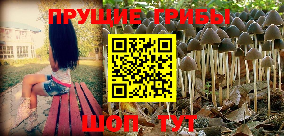 закладки  Галлюциногенные грибы GOLDEN TEACHER  Вход с VPN  Верхний Уфалей 