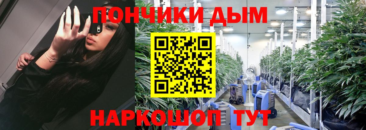 Бошки Шишки гибрид Верхний Уфалей